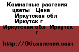 Комнатные растения, цветы › Цена ­ 50 - Иркутская обл., Иркутск г.  »    . Иркутская обл.,Иркутск г.